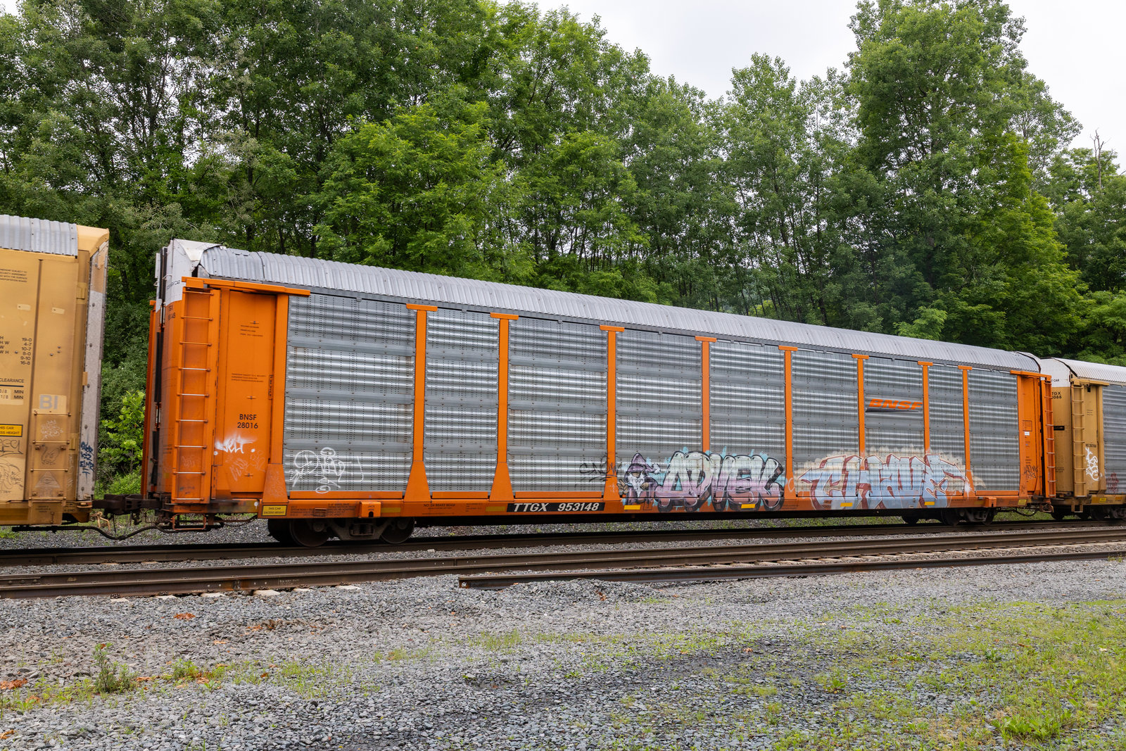 TTGX 953148