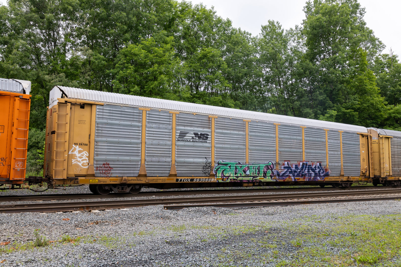 TTGX 983088