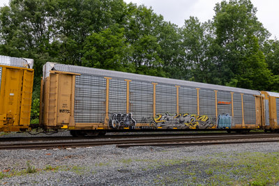 TTGX 952742