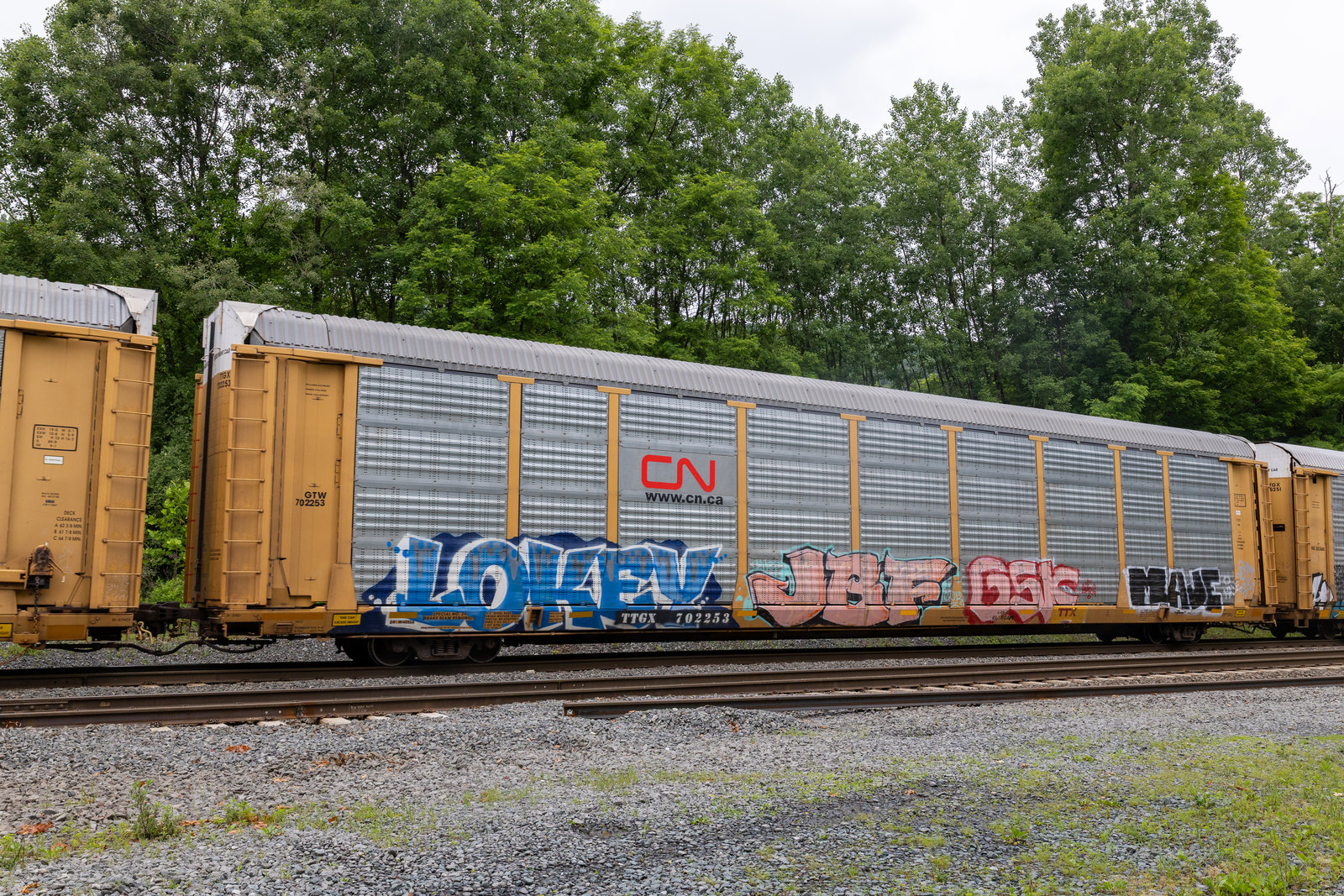 TTGX 702253