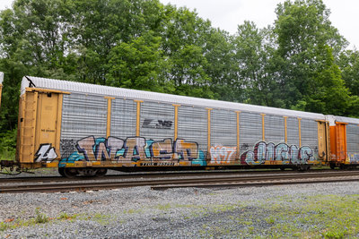 TTGX 965251