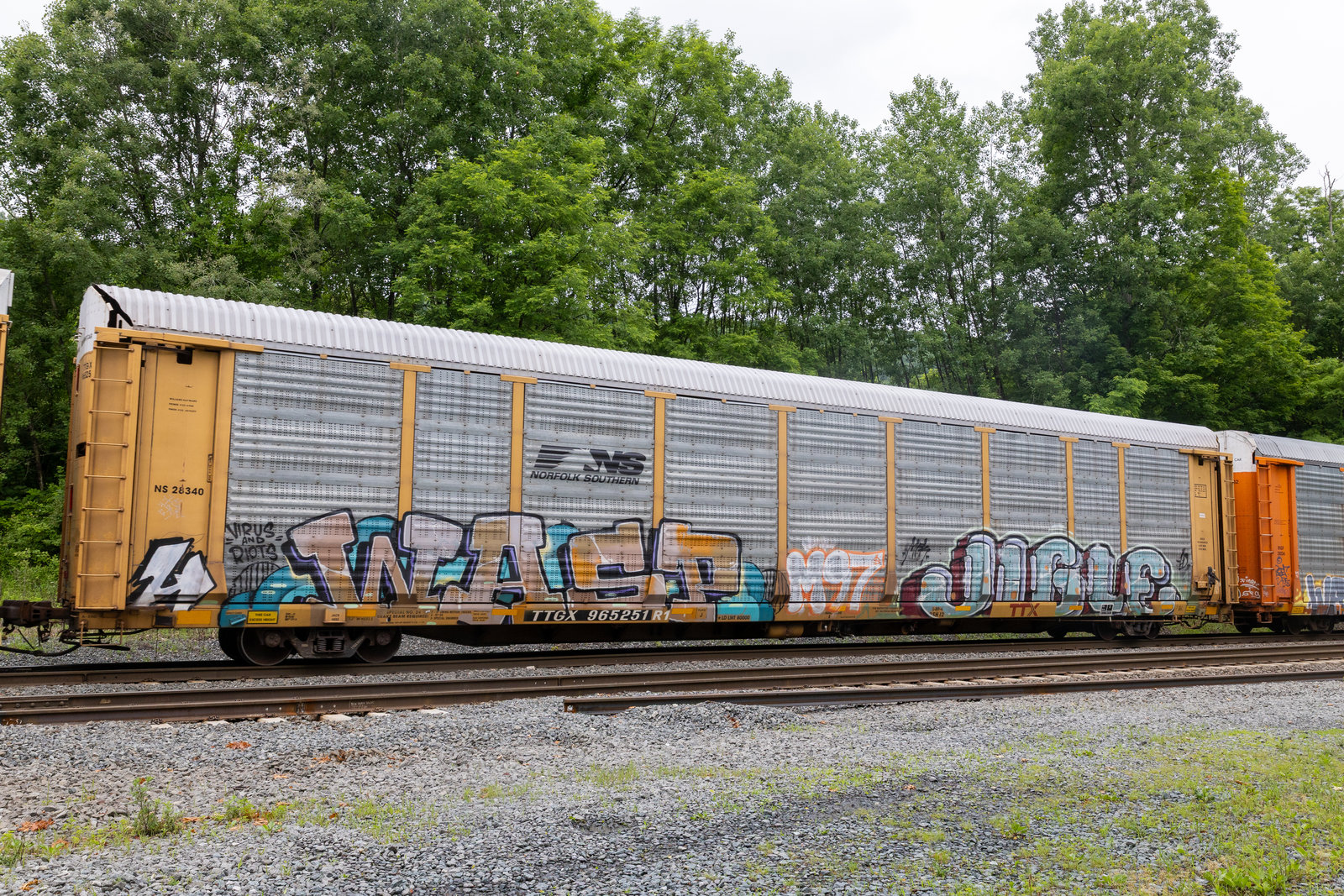 TTGX 965251