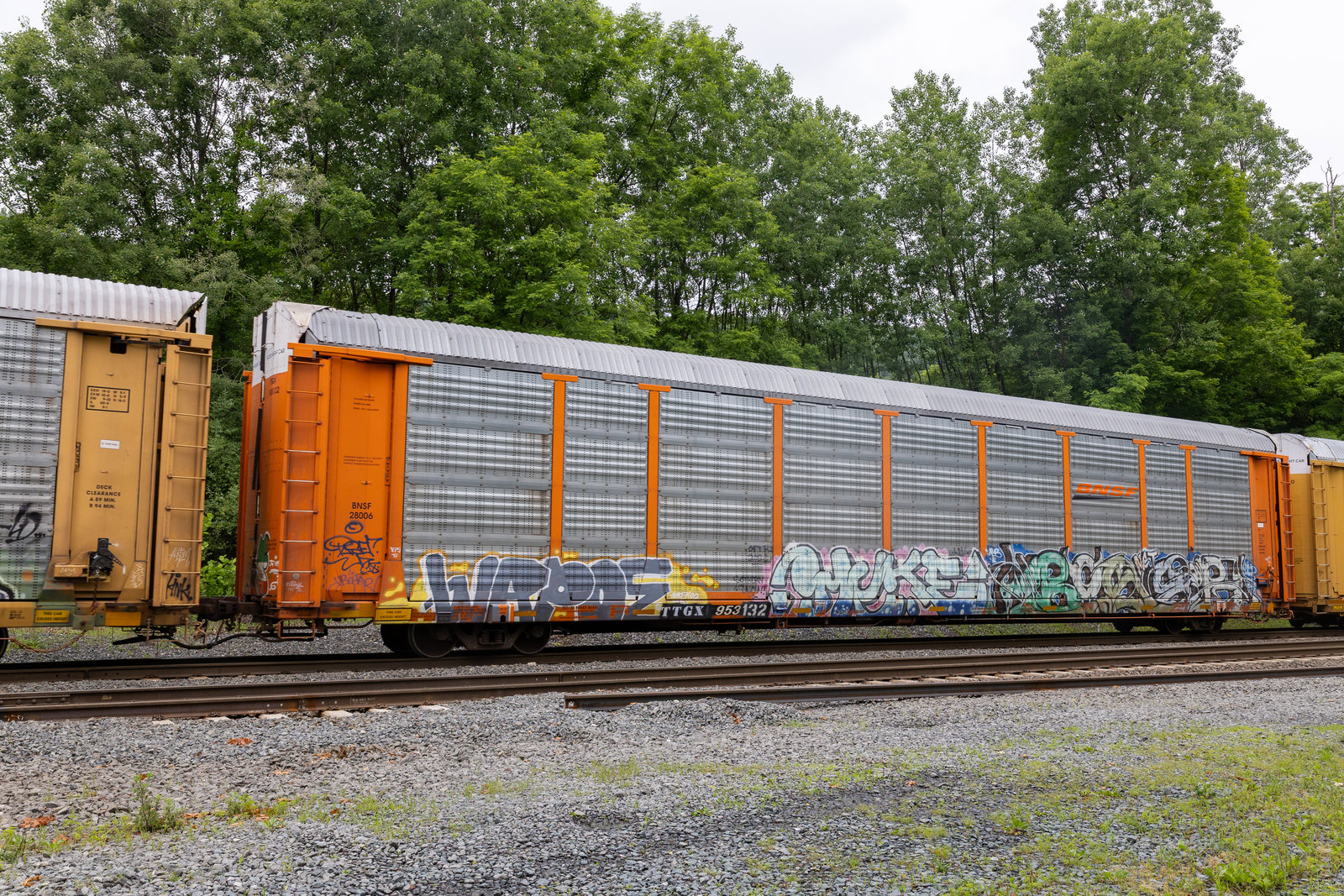 TTGX 953132