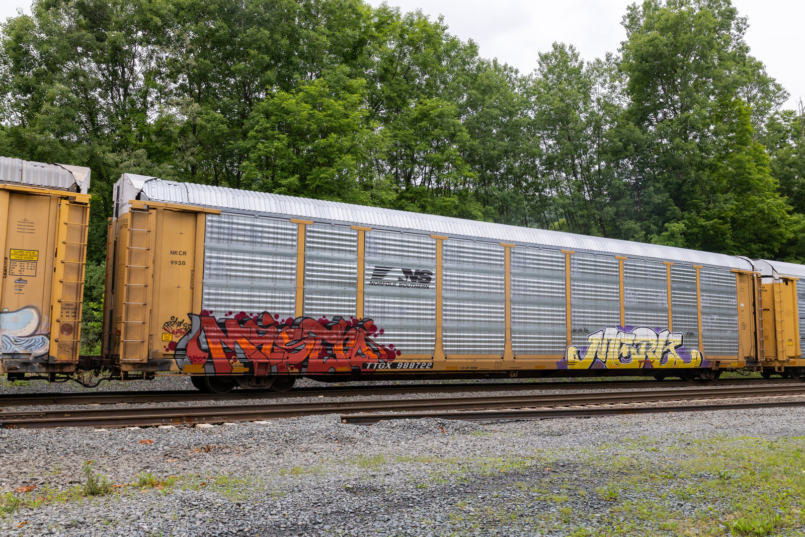 TTGX 988722