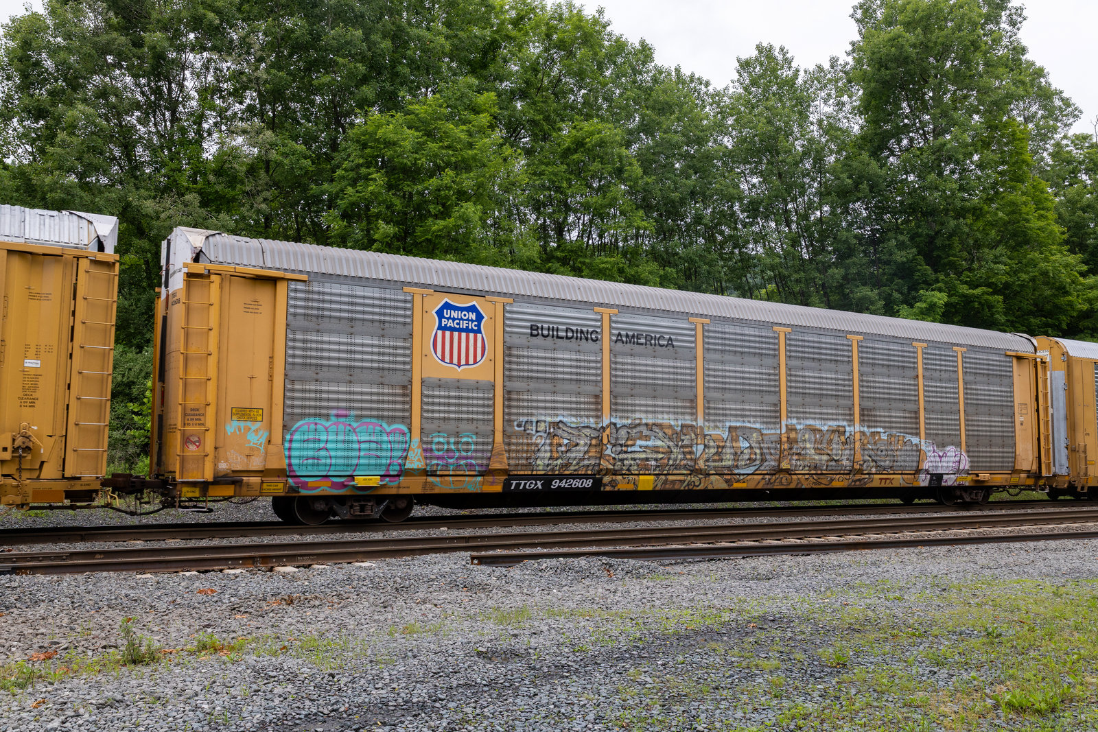 TTGX 942608