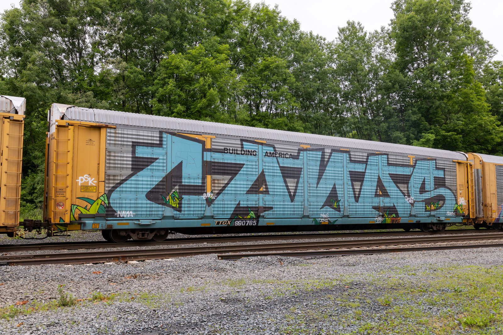 TTGX 990785