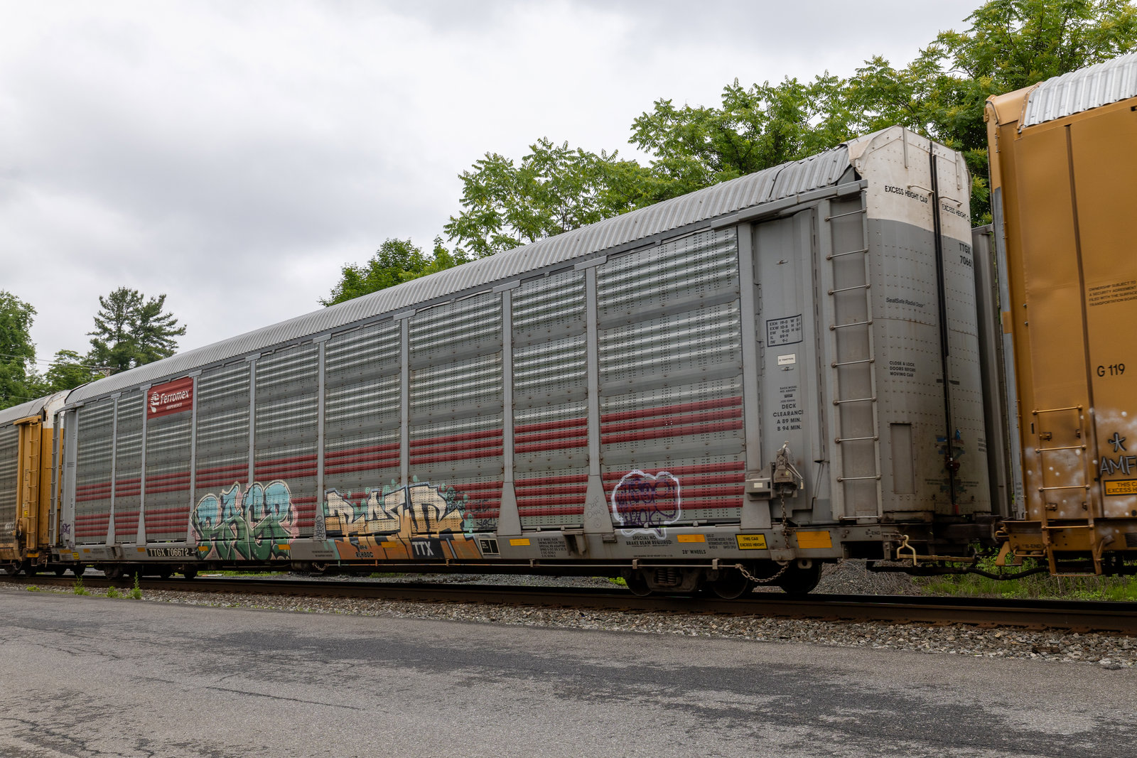 TTGX 706672