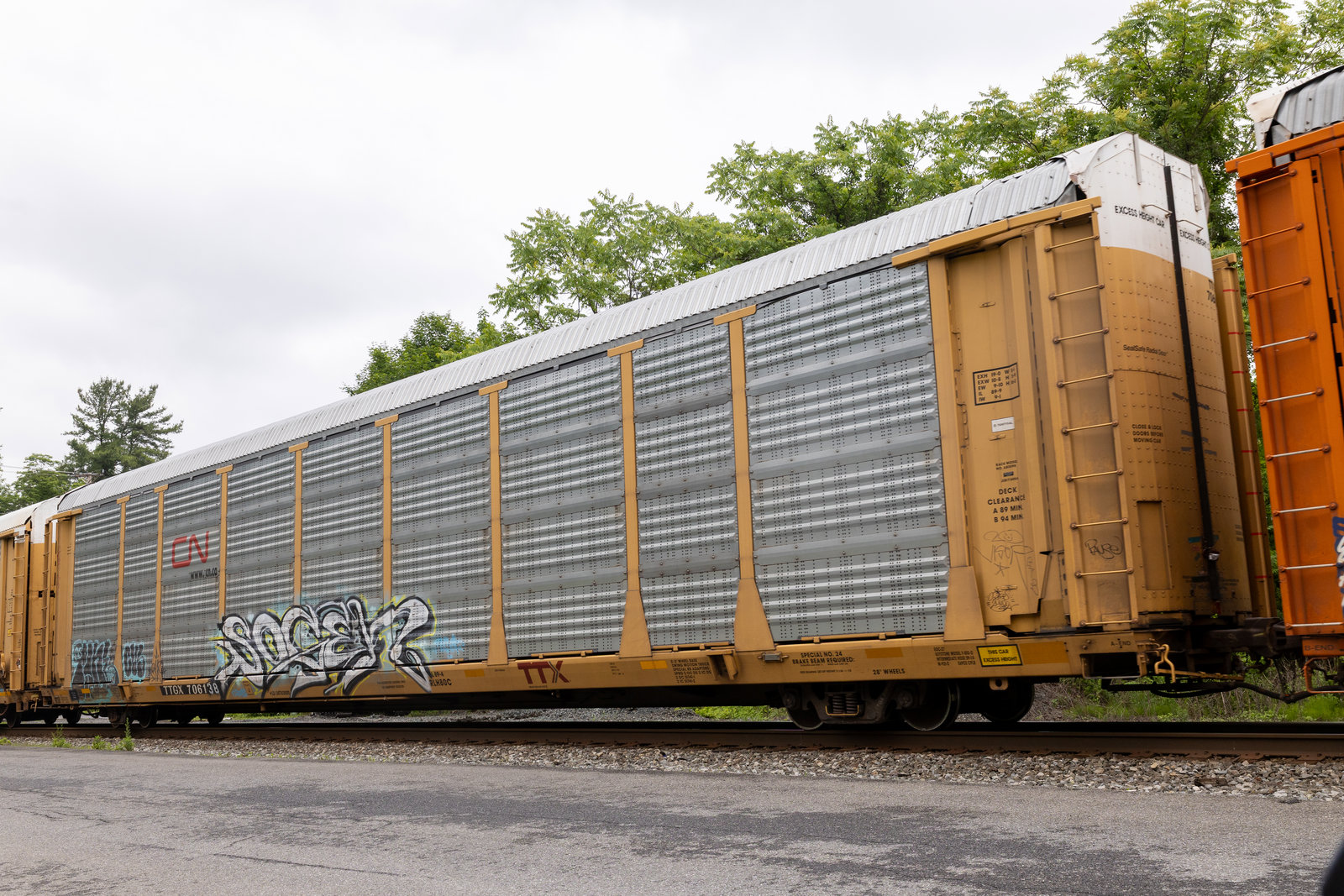 TTGX 706138