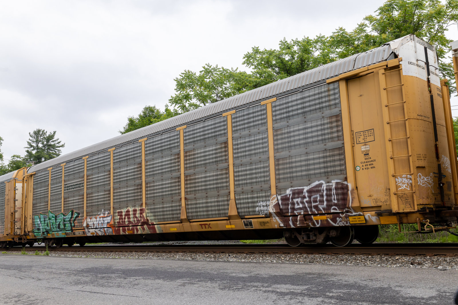 TTGX 992391