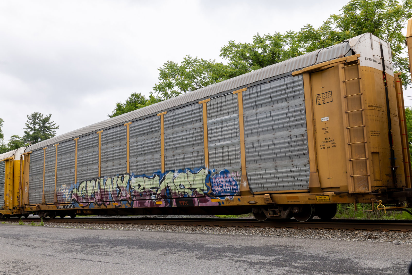 TTGX 922114