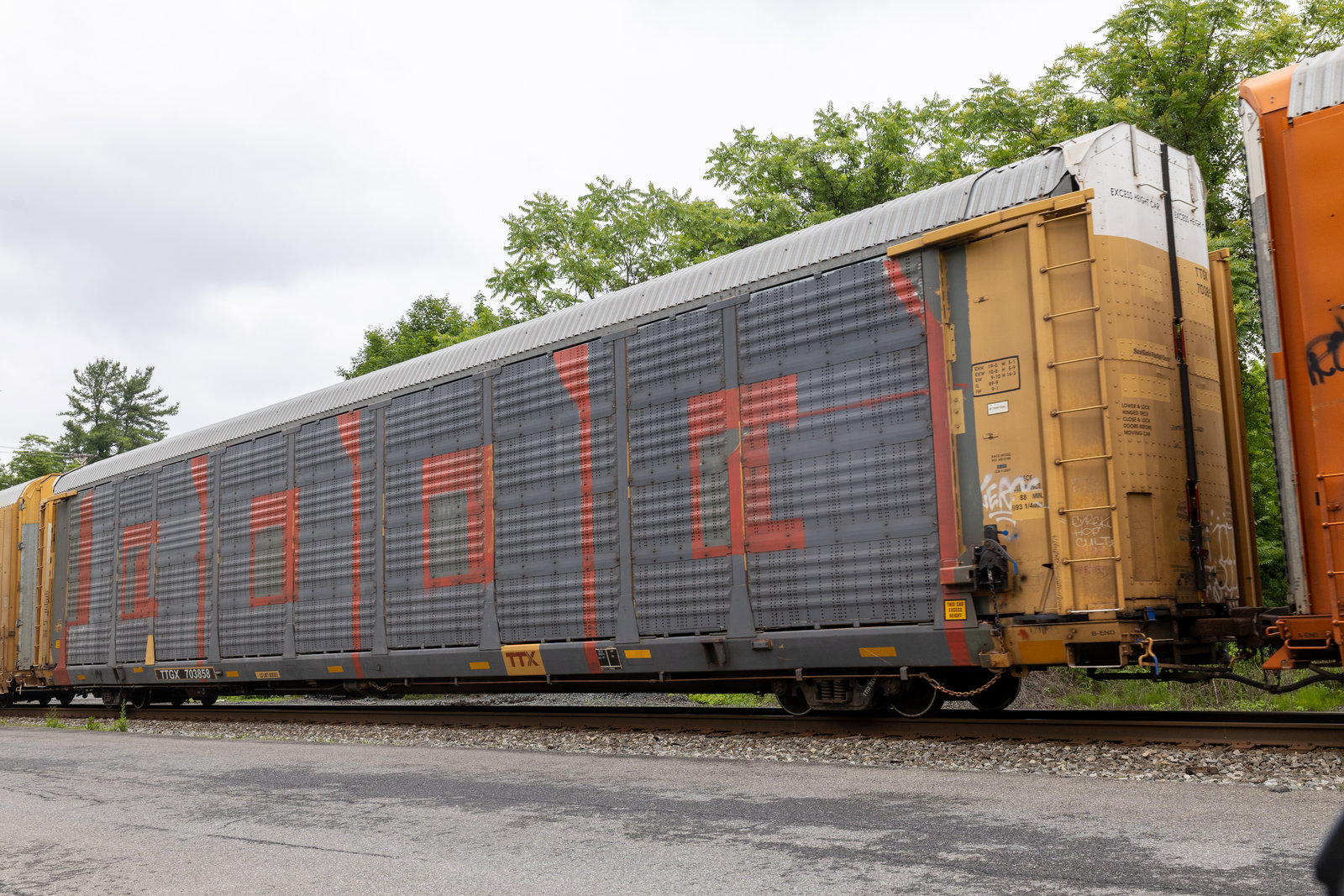 TTGX 703858