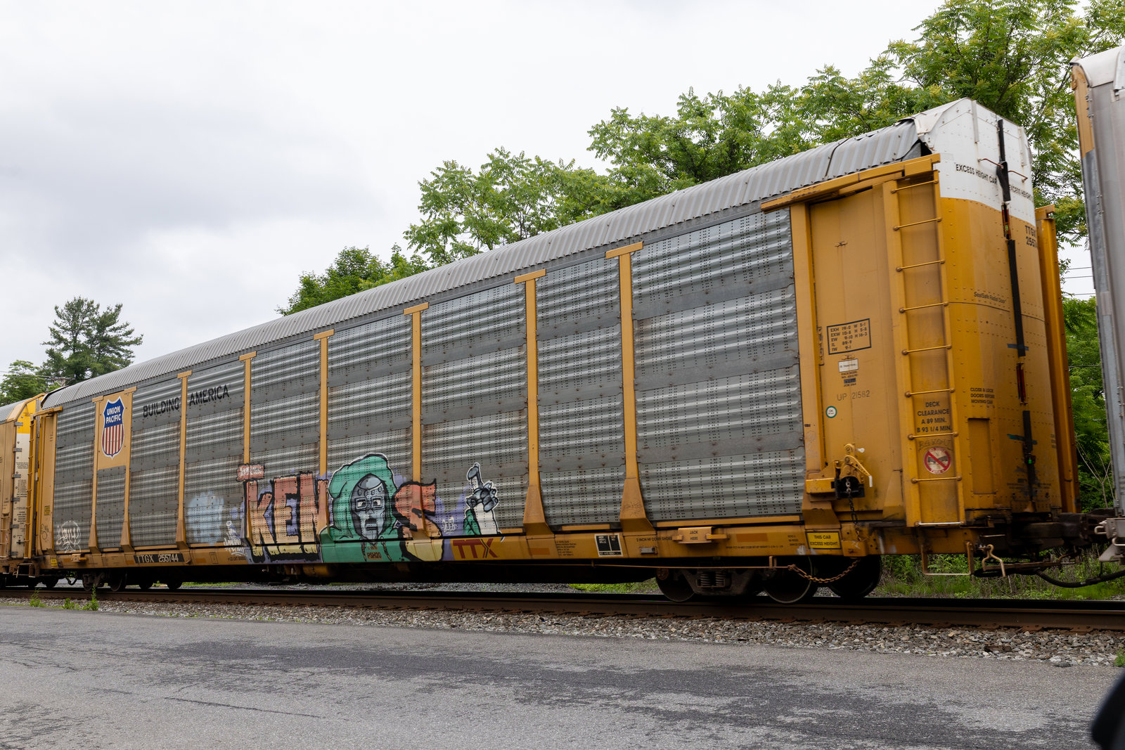TTGX 255744