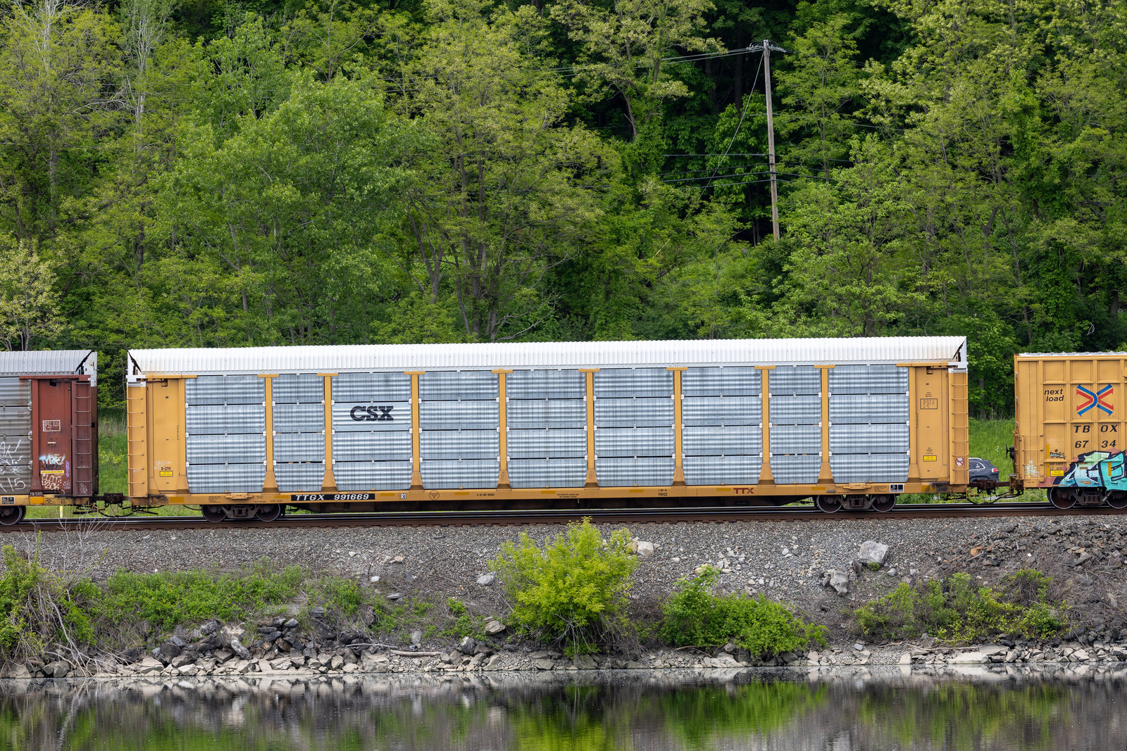 TTGX 991669