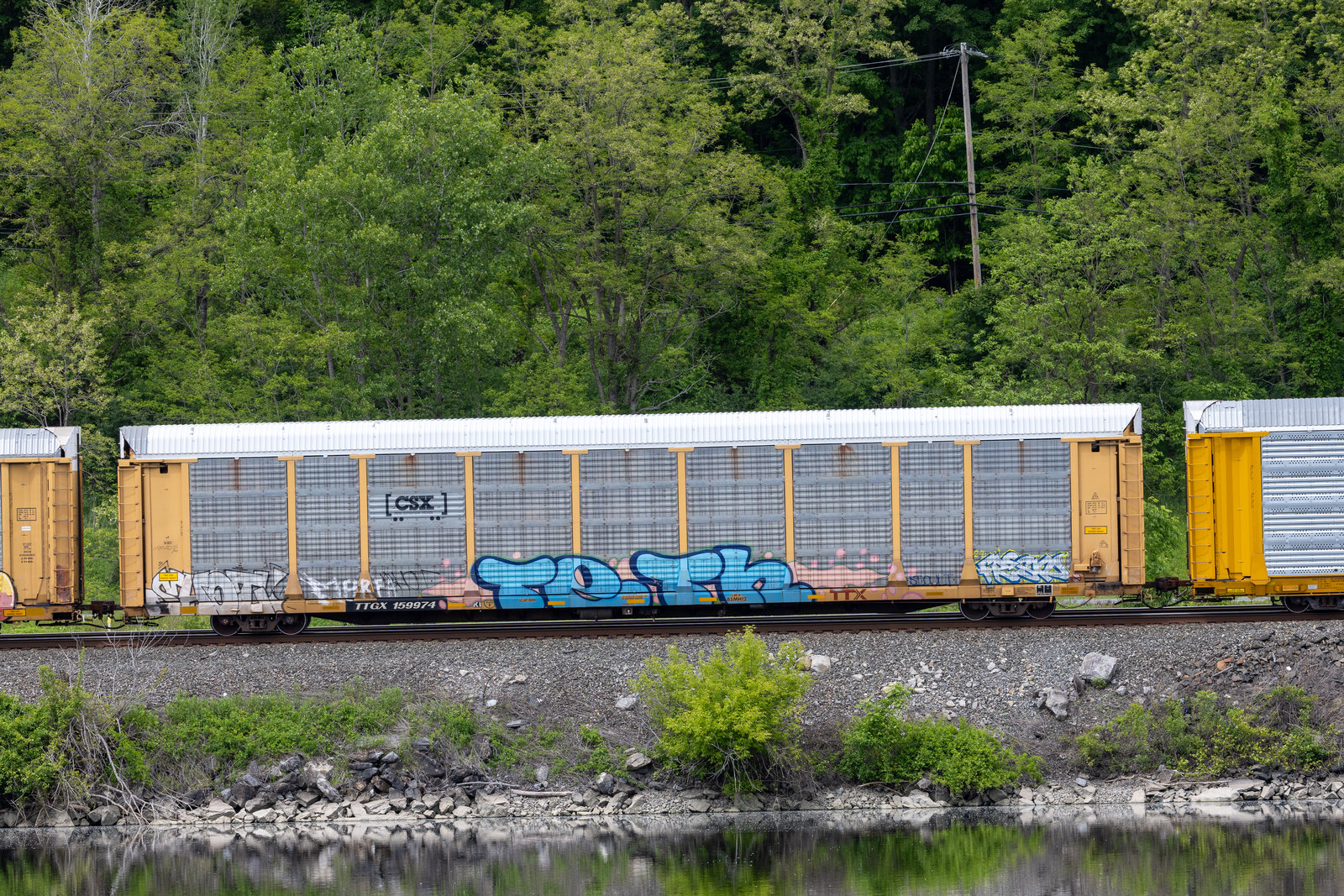 TTGX 159974