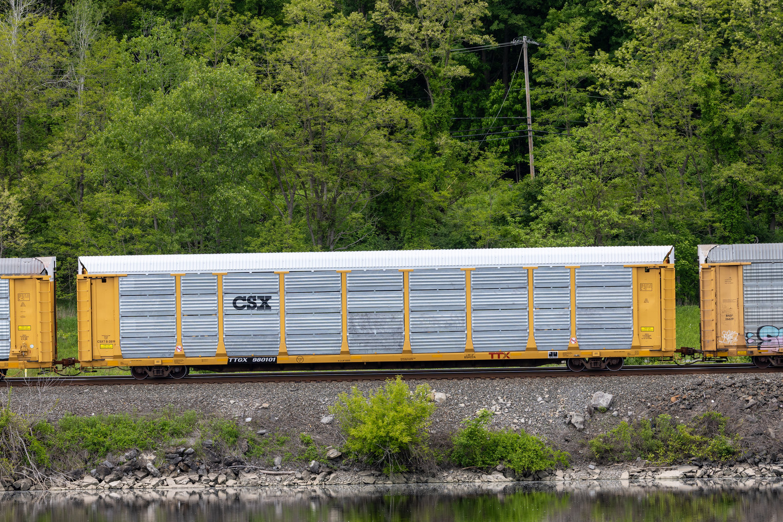 TTGX 980101