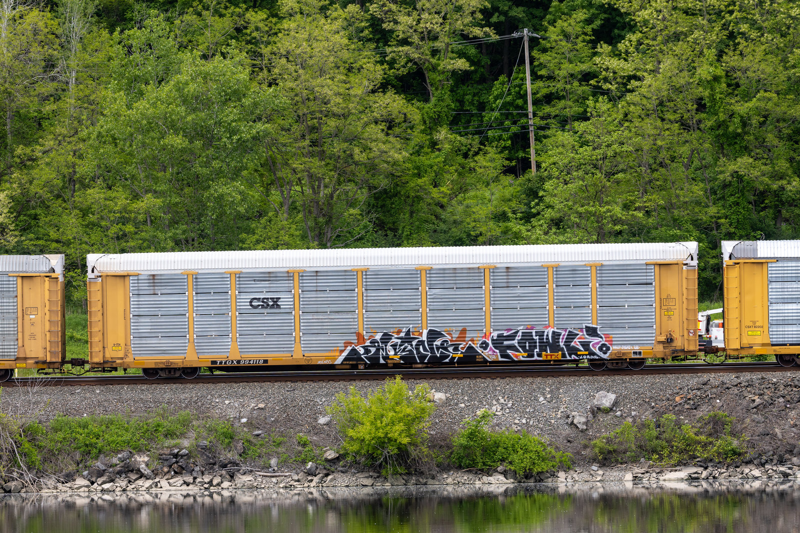 TTGX 994118