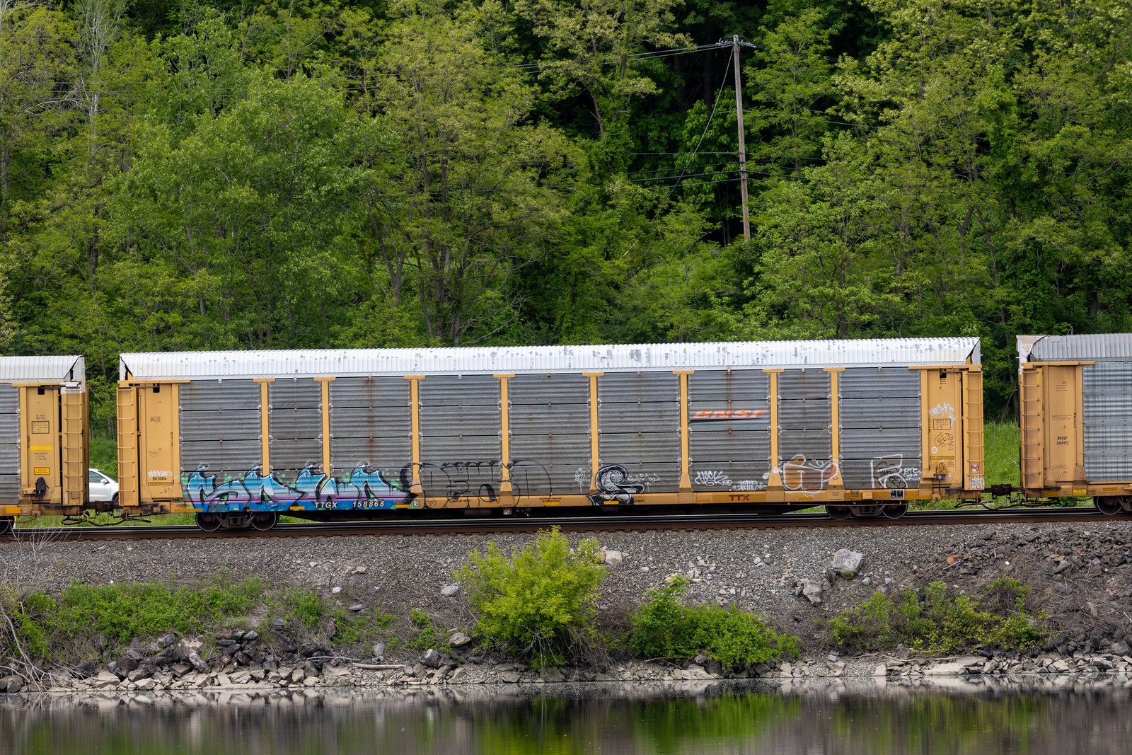 TTGX 158868
