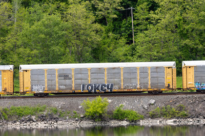 TTGX 253906