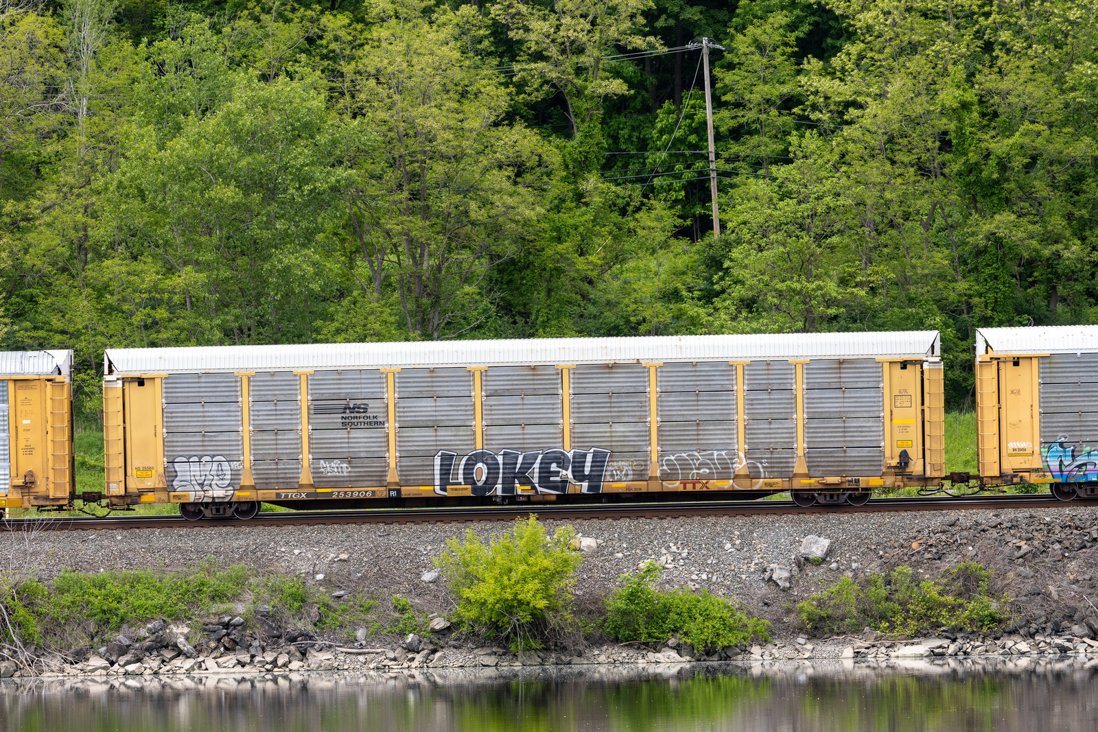 TTGX 253906