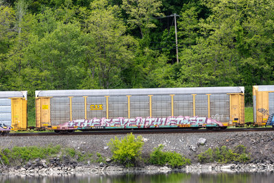 TTGX 987894
