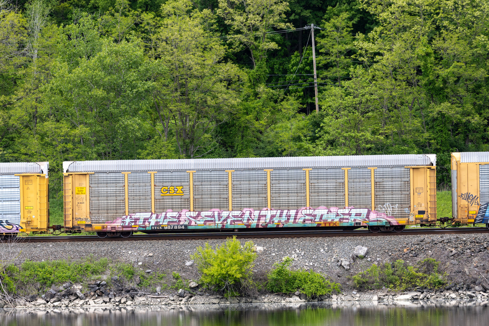 TTGX 987894