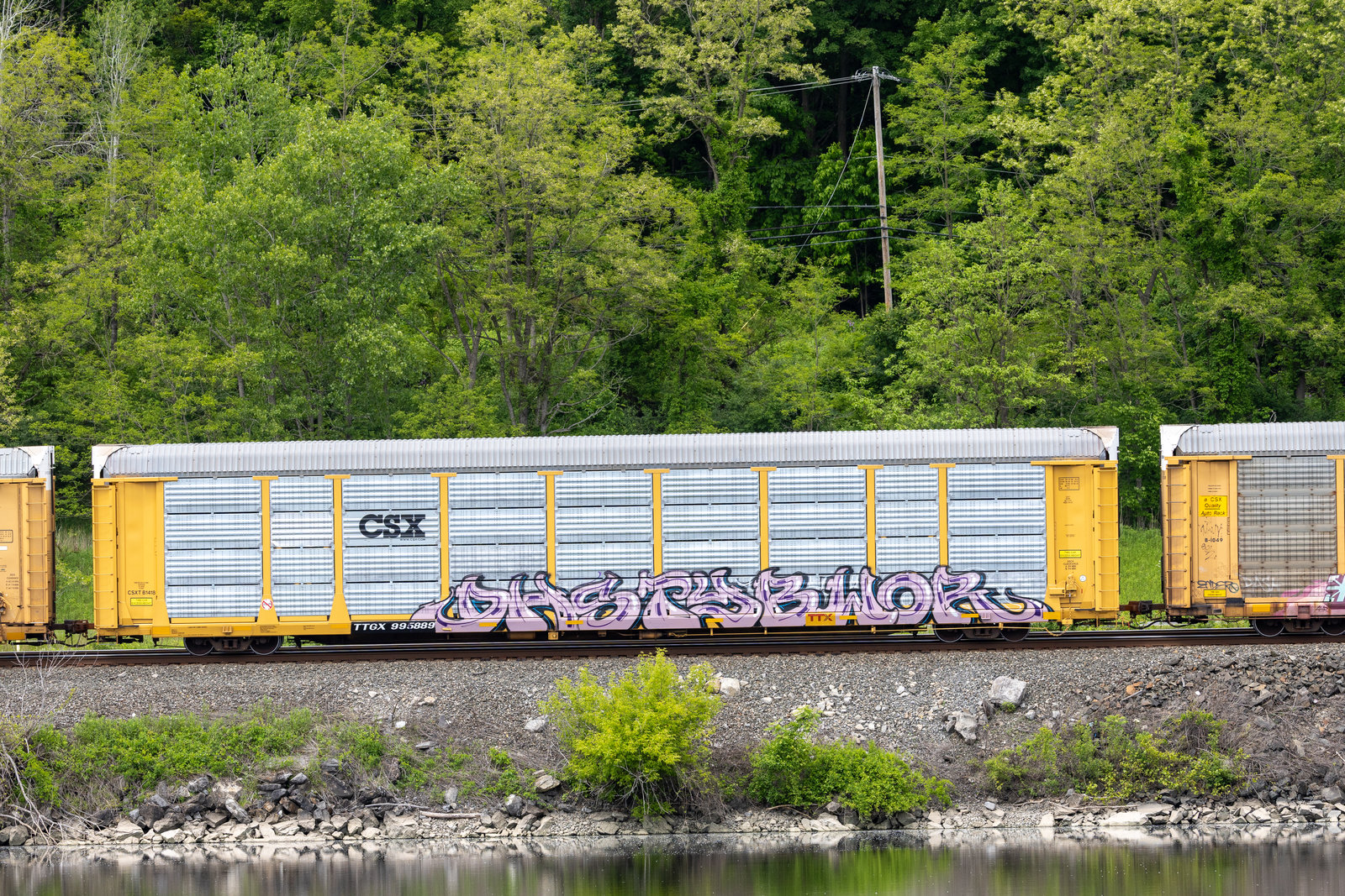 TTGX 995889
