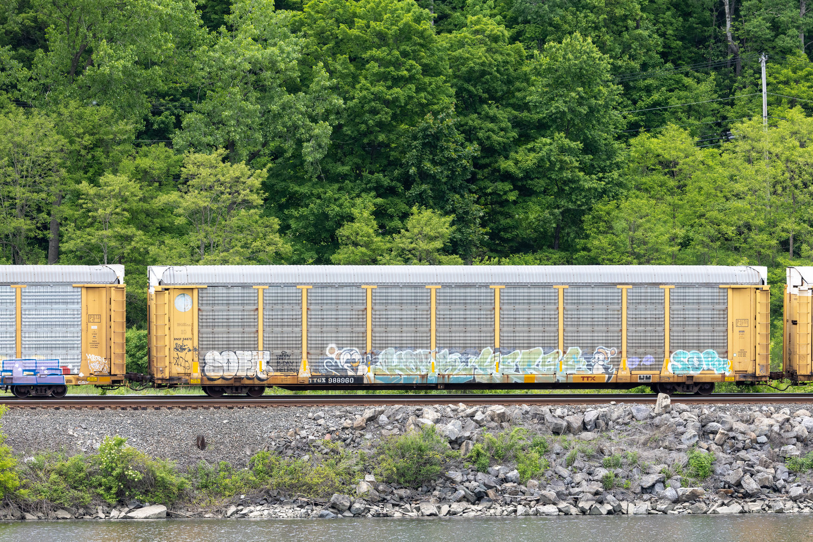 TTGX 988960