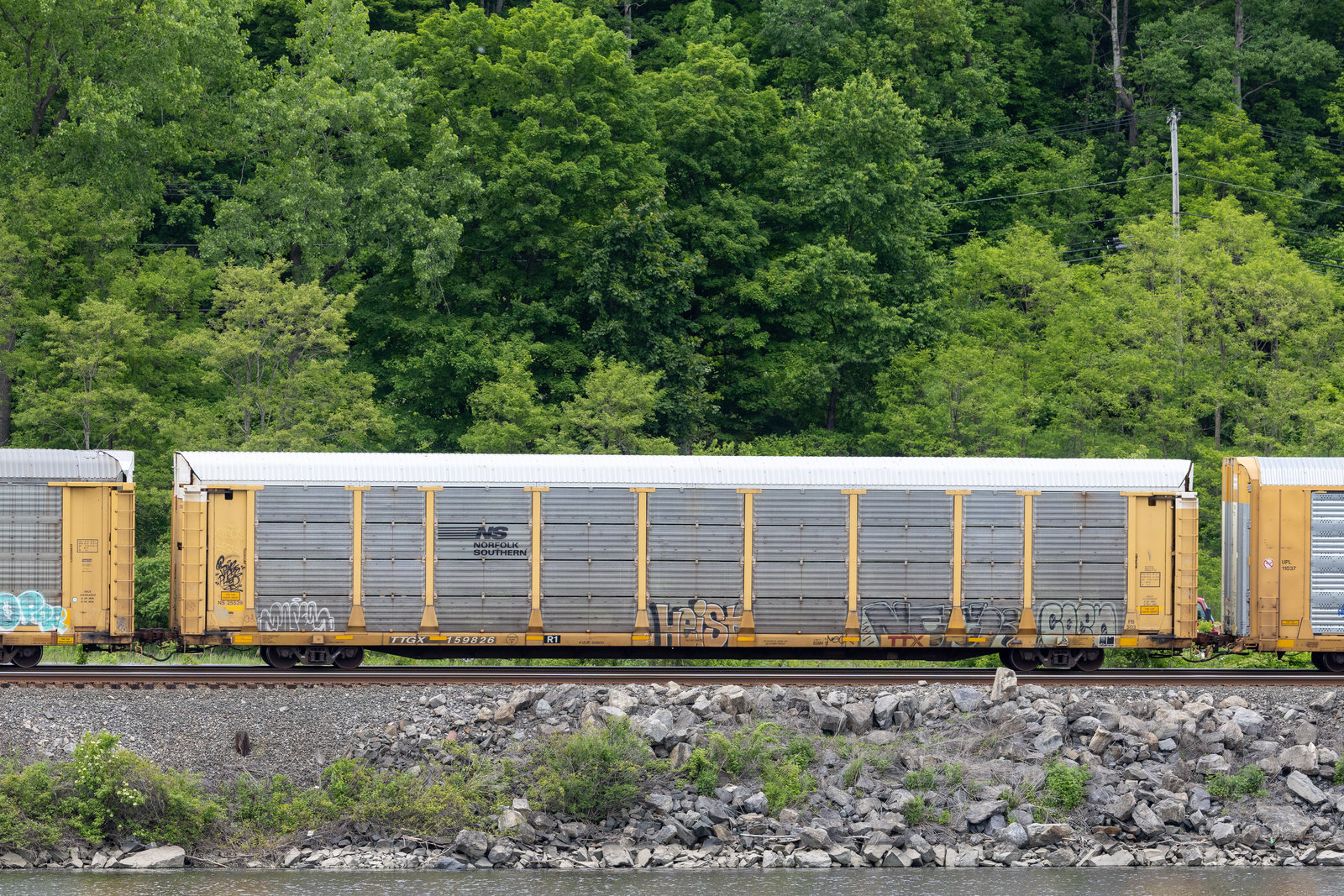 TTGX 159826