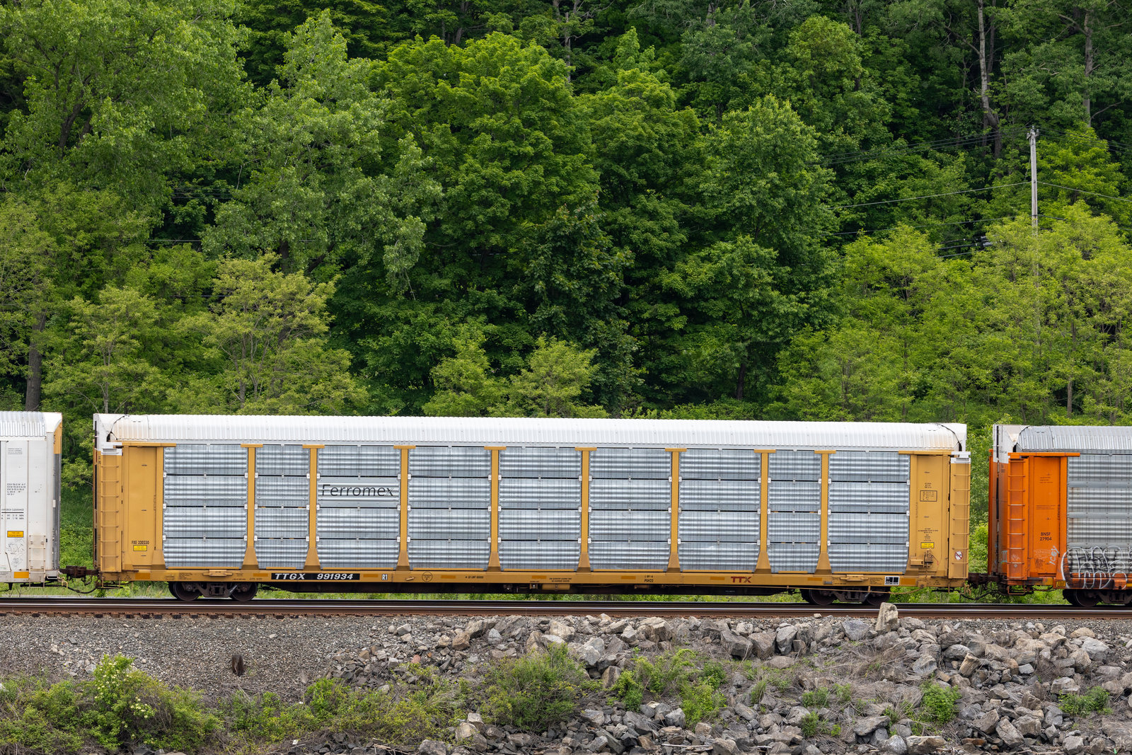 TTGX 991934