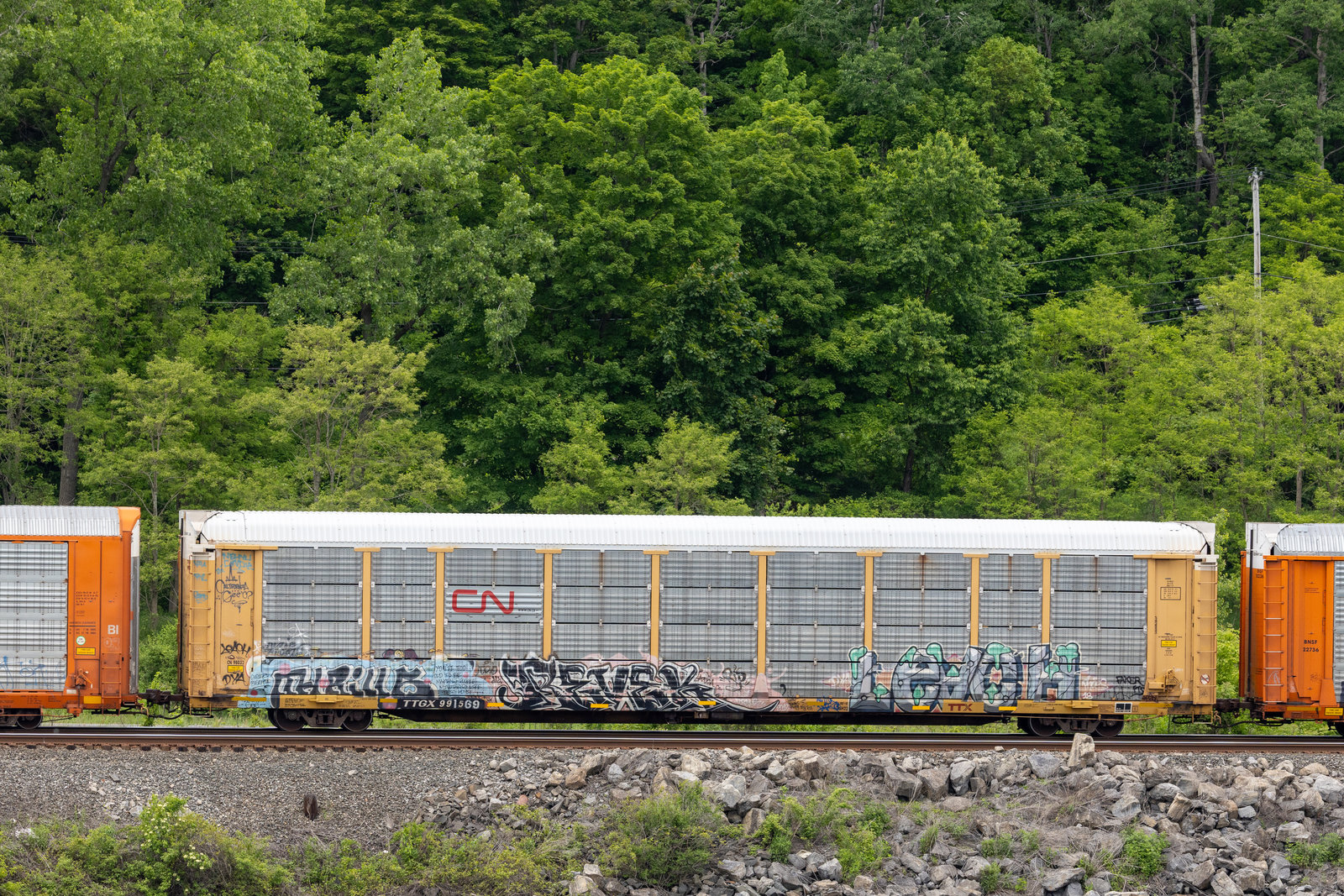 TTGX 991569