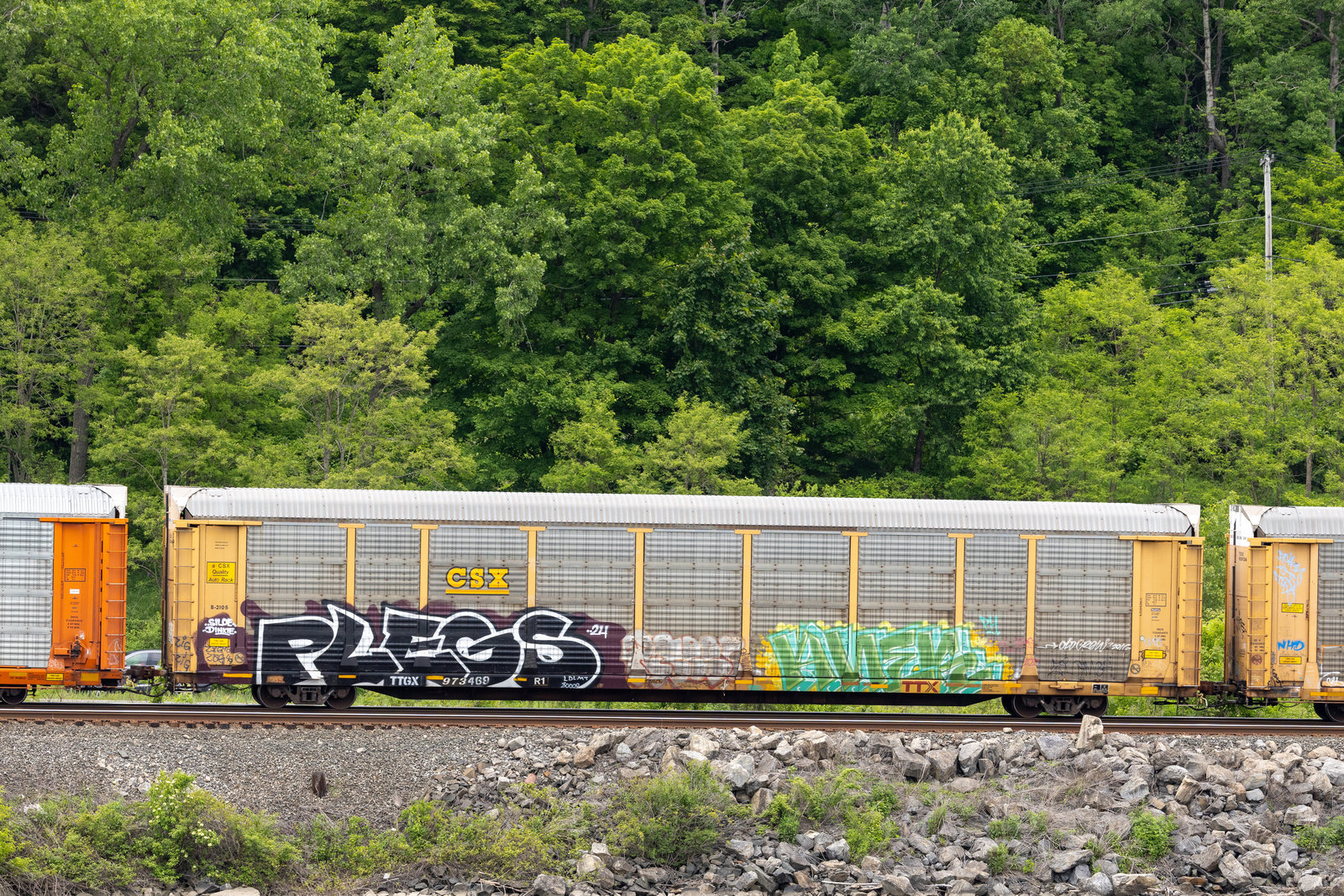 TTGX 973469