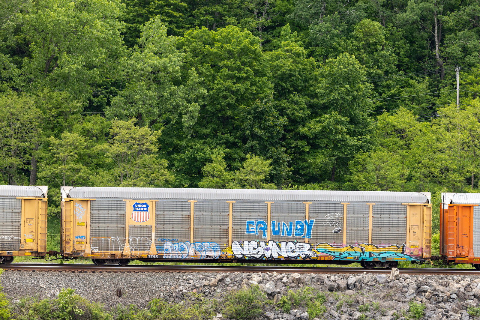 TTGX 985936
