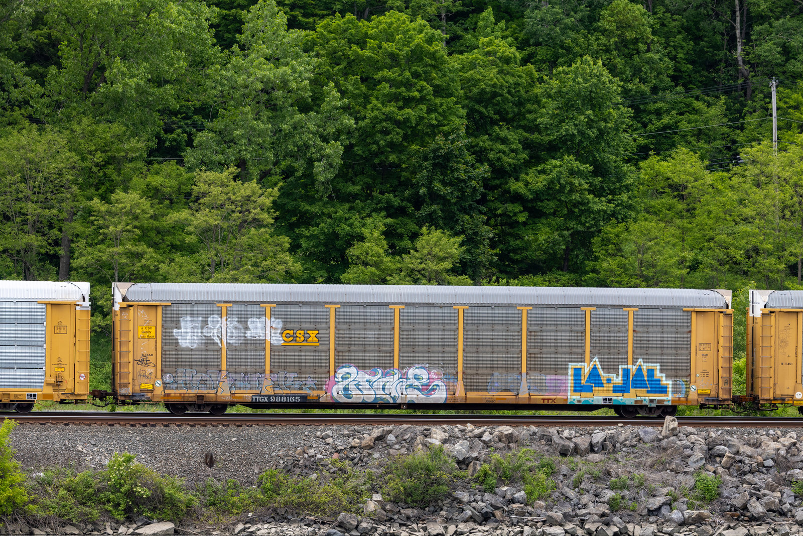 TTGX 988165