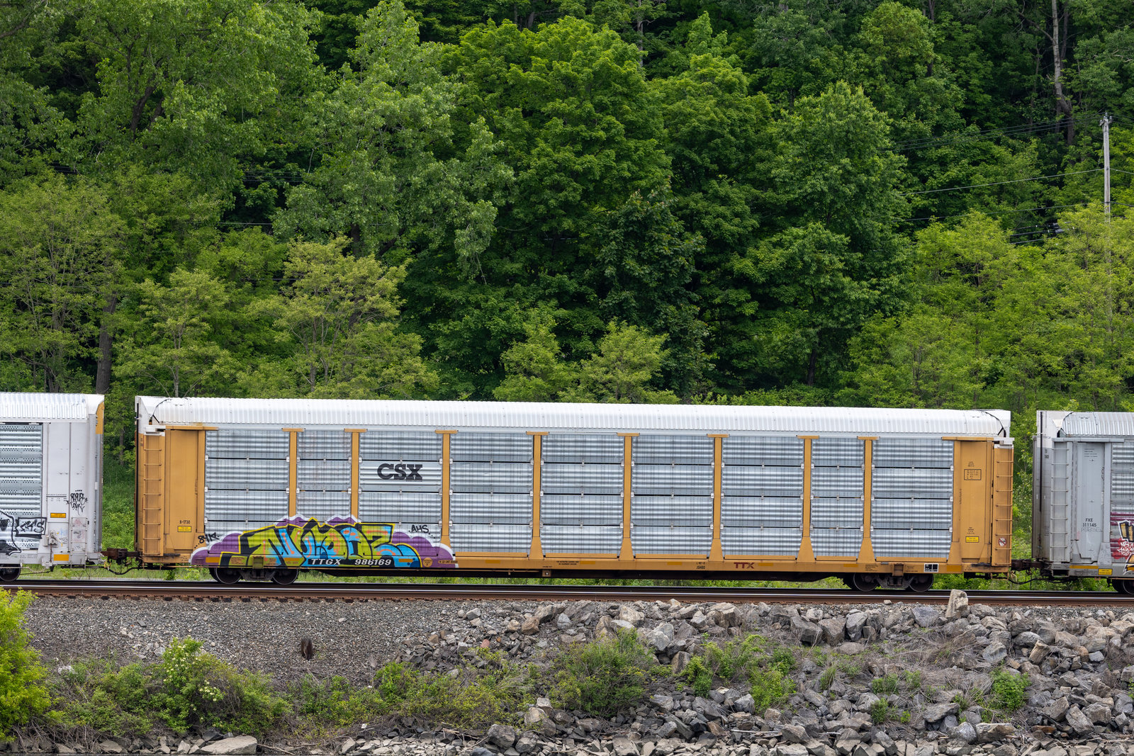 TTGX 986169
