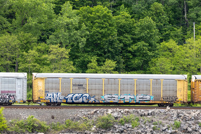 TTGX 983791