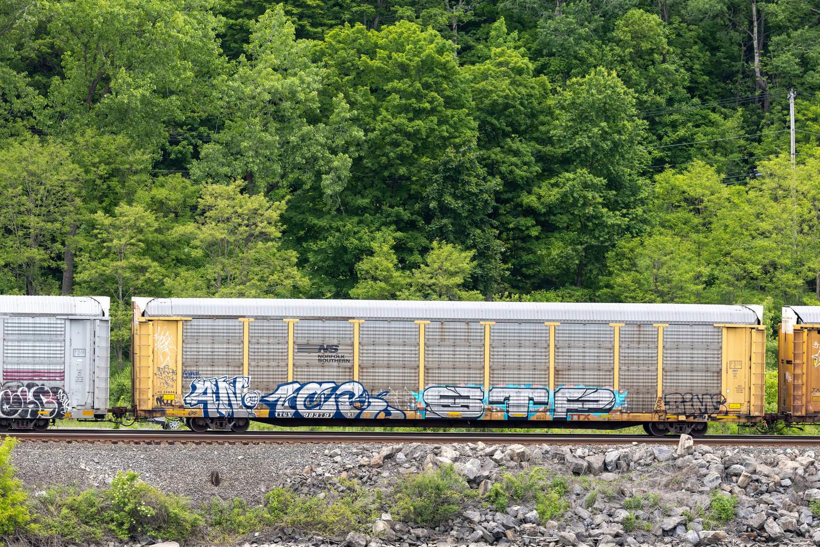 TTGX 983791