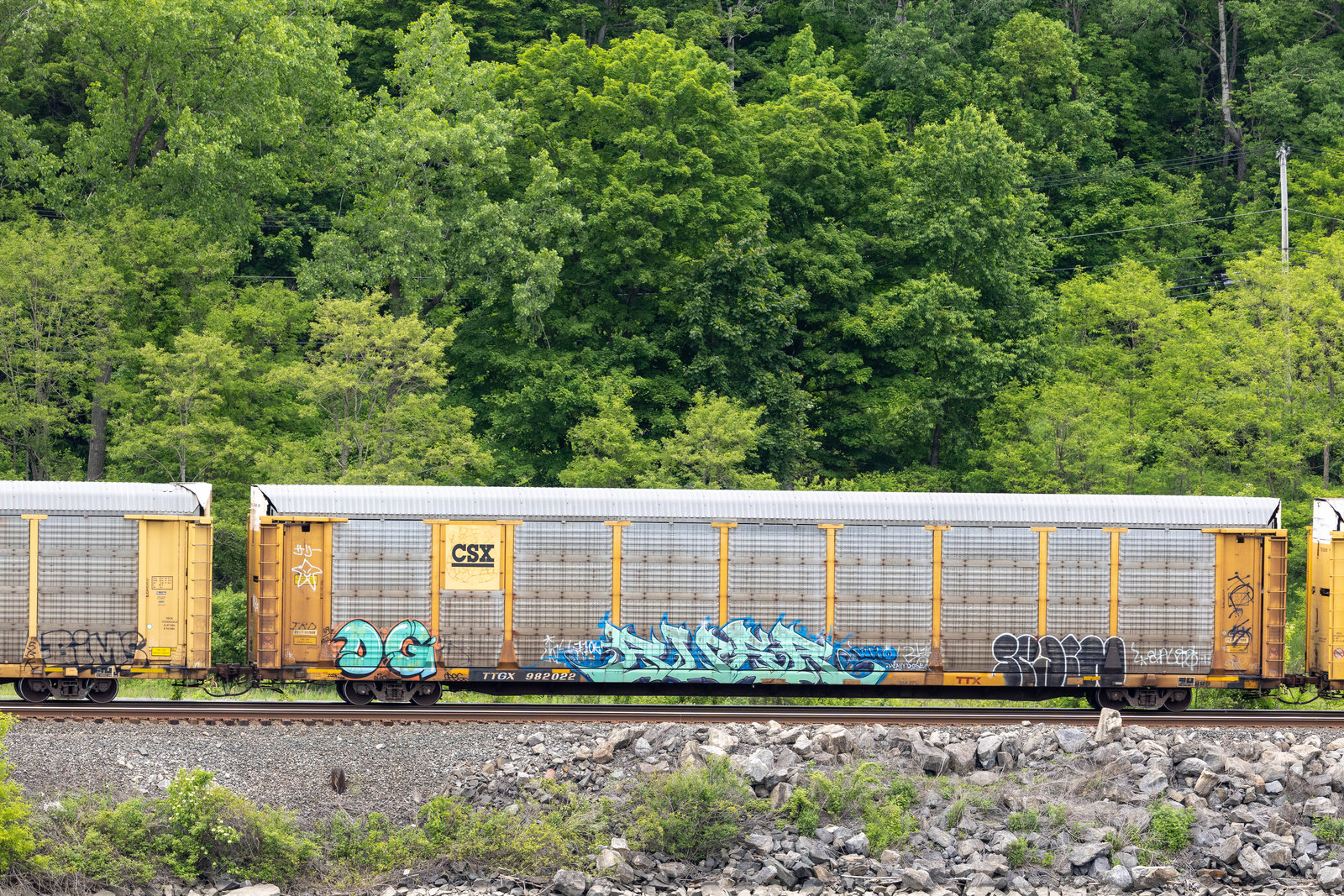 TTGX 982022