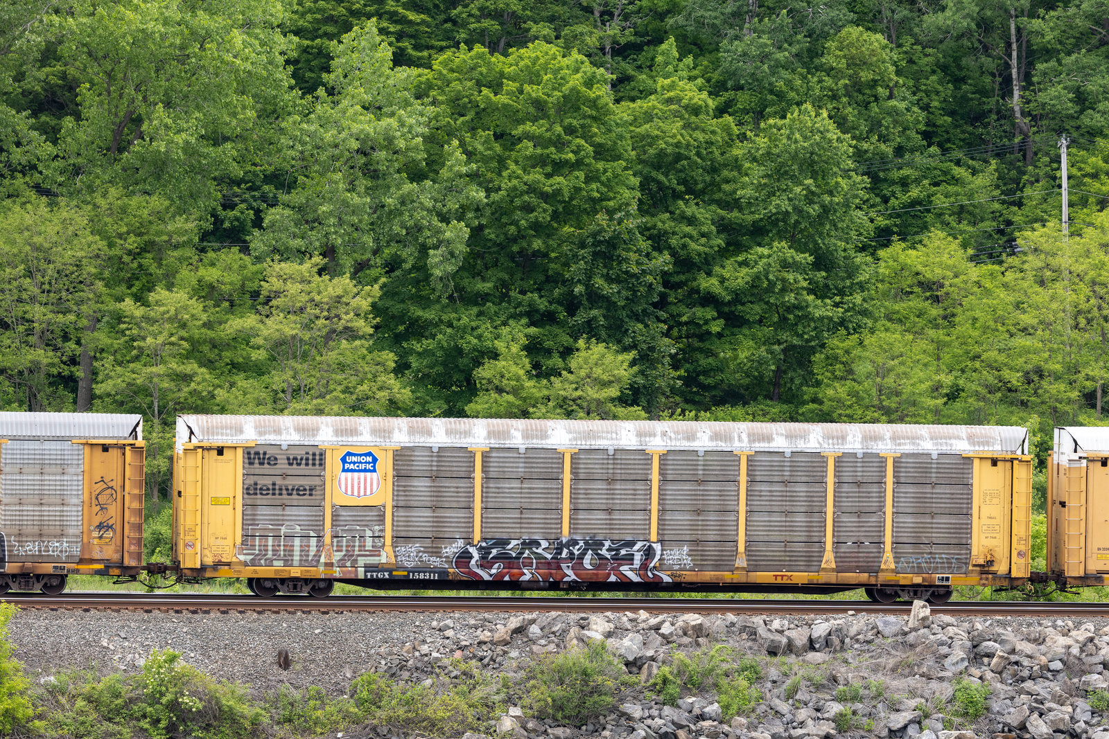 TTGX 158311