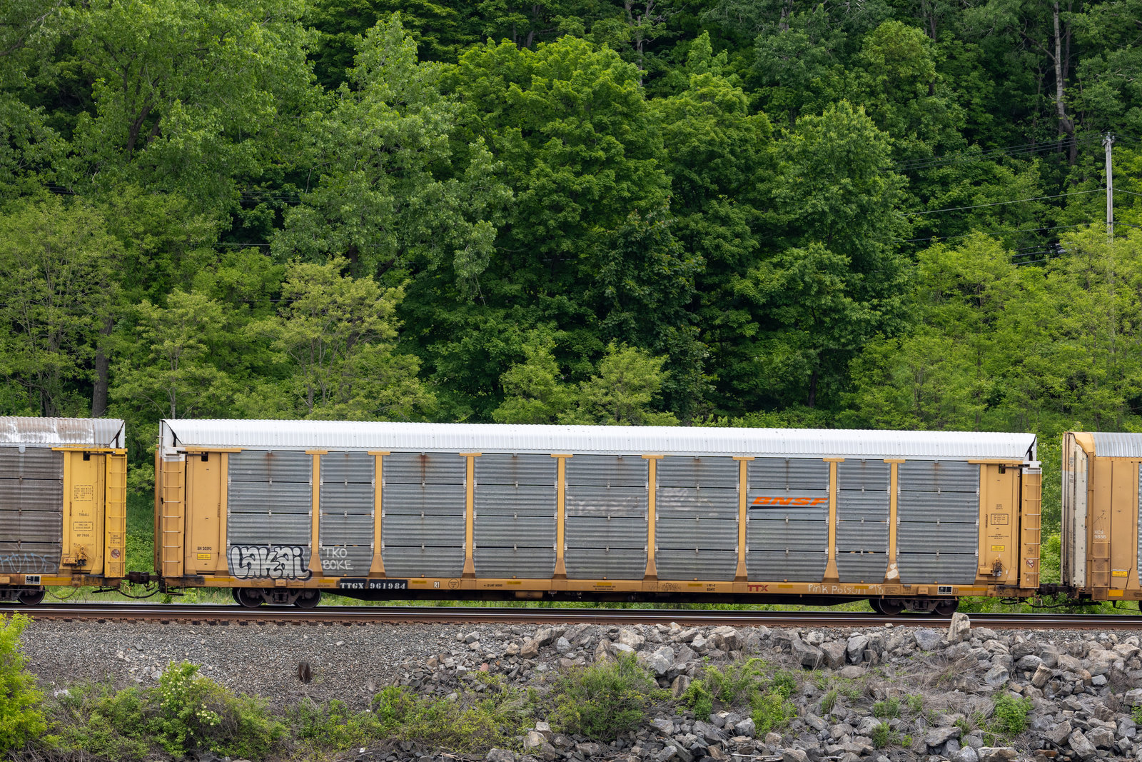 TTGX 961984