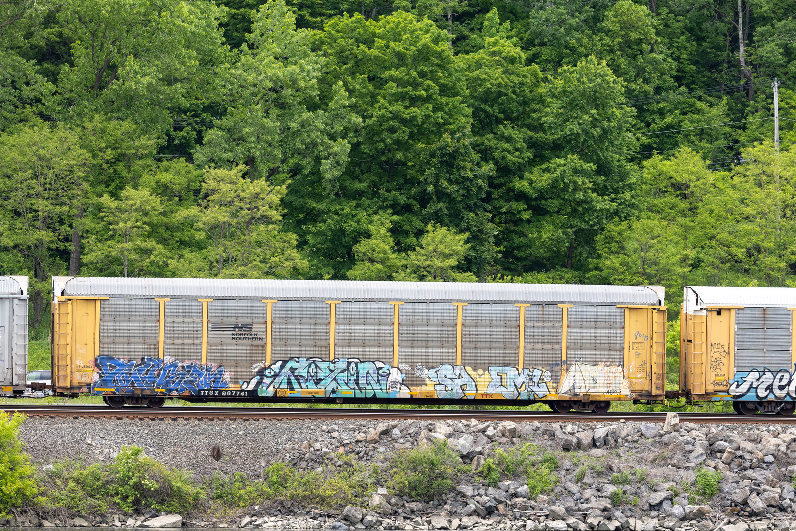 TTGX 987741