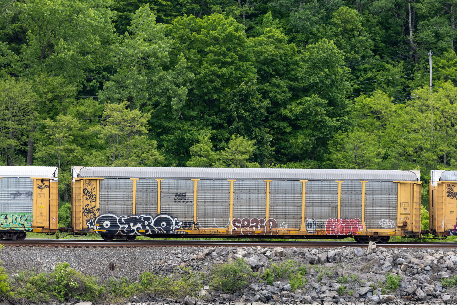 TTGX 987696