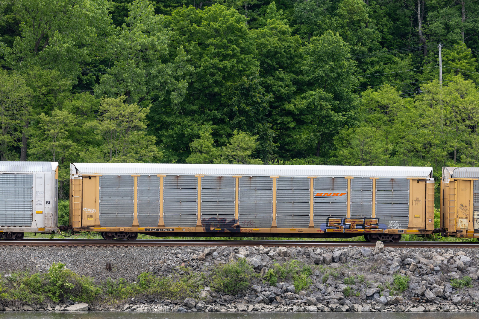 TTGX 160589