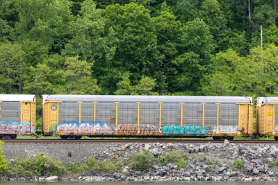 TTGX 988898