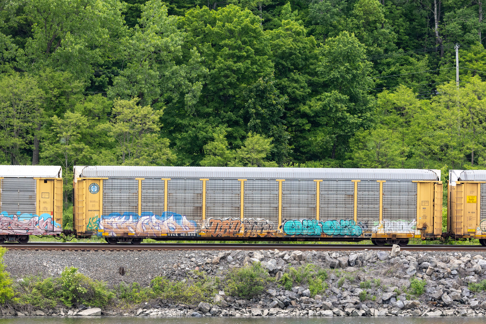 TTGX 988898