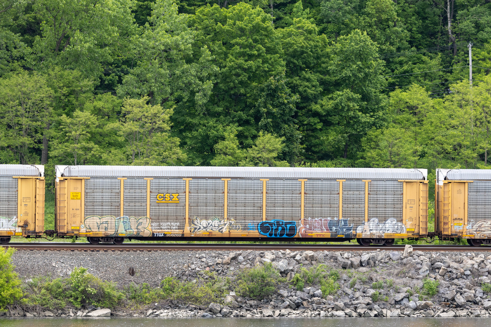 TTGX 996269