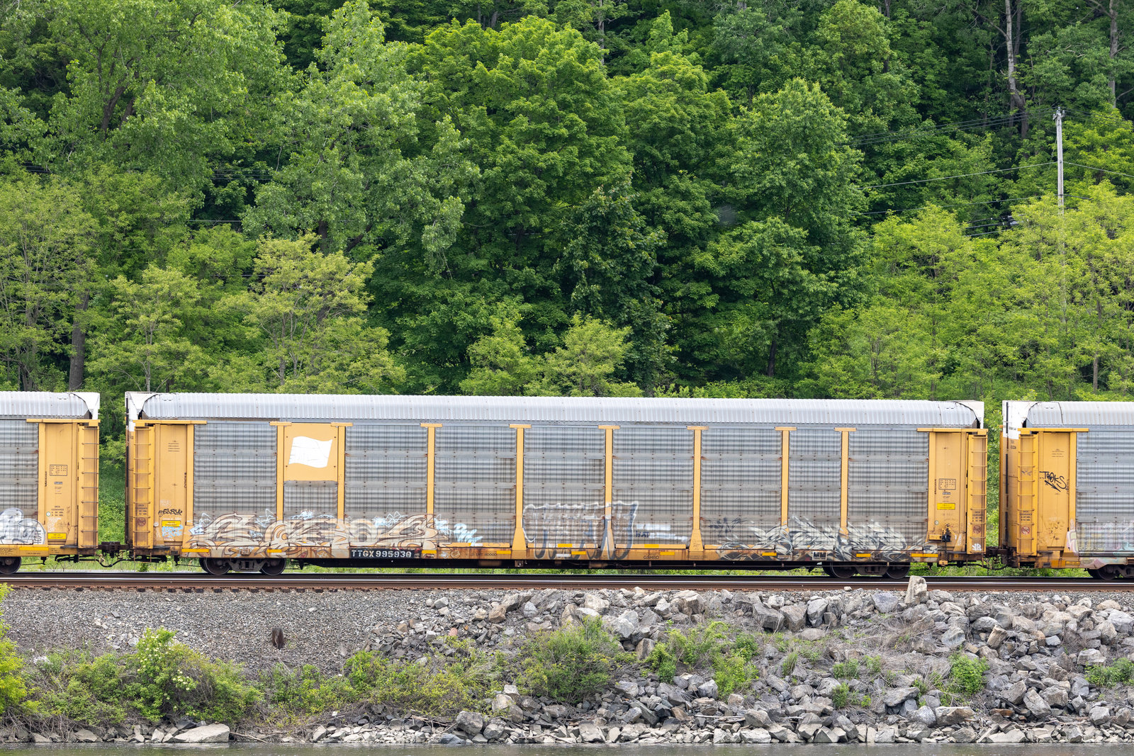 TTGX 995930