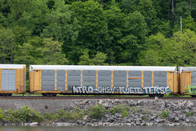 TTGX 159182