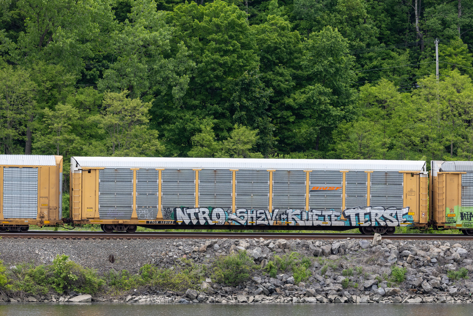 TTGX 159182