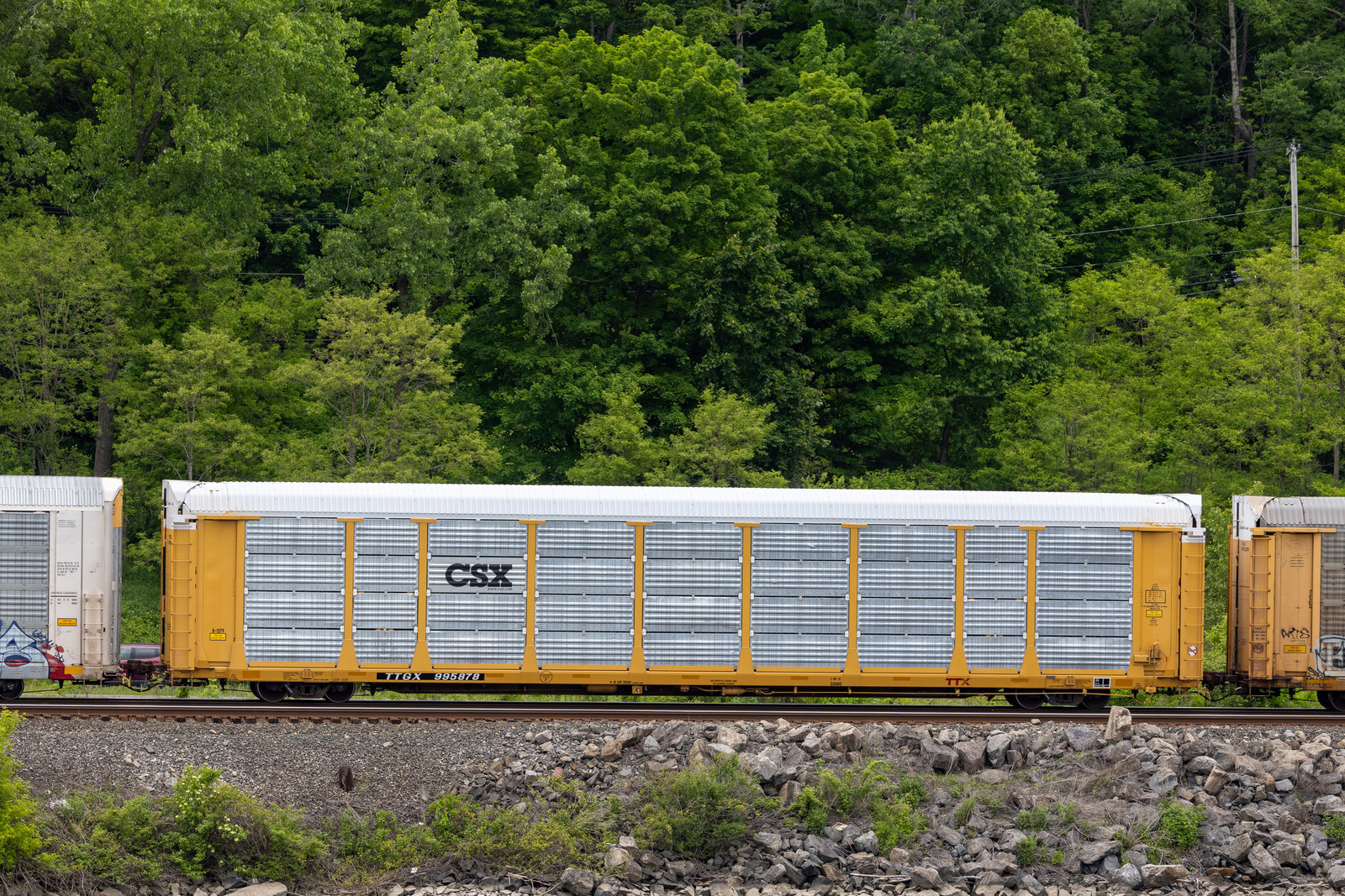 TTGX 995878