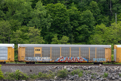TTGX 995325